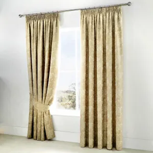 Jasmine Pair of Pencil Pleat Curtains With Tie-Backs by Dreams & Drapes Woven in Champagne