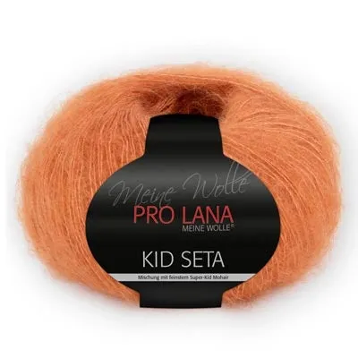 Pro Lana Kid Seta