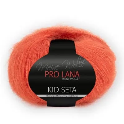 Pro Lana Kid Seta